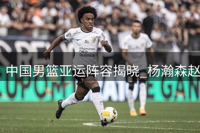 中国男篮亚运阵容揭晓 杨瀚森赵继伟双双缺阵